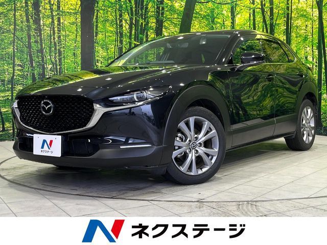 CX-30