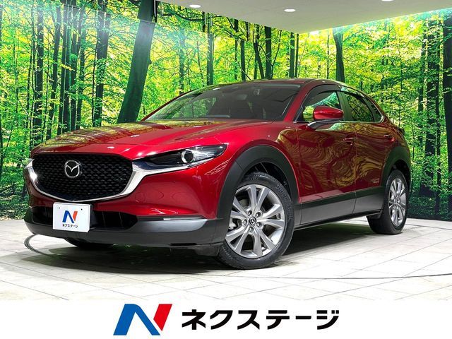 CX-30
